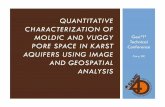 QUANTITATIVE CHARACTERIZATION OF MOLDIC AND VUGGY€¦ · CHARACTERIZATION OF MOLDIC AND VUGGY PORE SPACE IN KARST AQUIFERS USING IMAGE AND GEOSPATIAL ANALYSIS Geo3T2 Technical Conference
