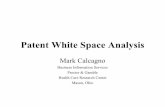 Patent White Space Analysis - Patent White Space Analysis Mark Calcagno Business Information Services