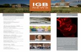 IGB · 2019-09-10 · IGB News September 2019 // 2 environment on Earth,” Fouke said. The result is the deposition of broad swaths of hardened rock with an undulating, filamentous