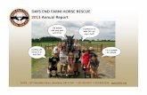 DAYS END FARM HORSE RESCUE 2013 Annual Report · DEHFR . 1372 Woodbine Road, Woodbine, MD 21797 . T 301.854.5037 . F 301-854.5146 . ˜r.org DAYS END FARM HORSE RESCUE 2013 Annual