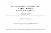 DIFFERENTIAL GEOMETRY: A First Course in Curves and …A First Course in Curves and Surfaces Preliminary Version January, 2018 Theodore Shifrin ... Calculus of Variations and Surfaces