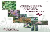 WEED,INSECT, and DISEASE CONTROL in TURFGRASS€¦ · Resources include Texas A&M AgriLife Extension Service faculty, industry cooper-ators, published literature, and general knowledge