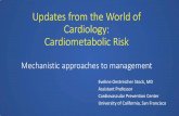Updates from the World of Cardiology: Cardiometabolic Risk · Updates from the World of Cardiology: Cardiometabolic Risk Mechanistic approaches to management Eveline Oestreicher Stock,