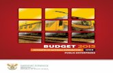 PUBLIC ENTERPRISES - Treasury budget/2015... · the abridged 2015 ENE publication relates to a specific budget vote. A separate, more detailed, e-publication is also available for