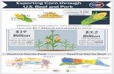 Final Corn Study Handout · Final Corn Study Handout Author: Visme Created Date: 3/30/2020 11:06:30 AM ...