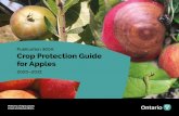 Publication 360A Crop Protection Guide for Apples 2020-2021 · Publication 360A. Crop Protection Guide for Apples. 2020–2021. Ministry of Agriculture, Food and Rural Affairs