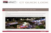CT QUICK LOOK - ifv.nl · open borders and illegal arms trade make it relatively easy for criminals and terrorists to obtain firearms. Event security. The Bastille Day event in Nice