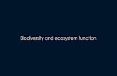 Biodiversity and ecosystem function · Stability ≈ Function maintained in the face of perturbations Charles Elton (1950s) proposed: higher diversity = higher ecosystem stability