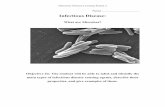 Infectious Disease - University of Pittsburghd-scholarship.pitt.edu/6952/3/DownieAppendixC2.pdf · balls environment bacteria single spirochetes mushrooms boiling spiral body fungi