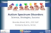 Autism Spectrum Disorders - Kids Firstkidsfirst.uams.edu/.../2017/11/NAEYC_Slides_Autism_Science_Strate… · autism of all ages. “ - Carol Gray •Brief, simple story that is created