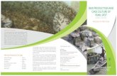 Seed Brochure sherin - COnnecting REpositories · The pearl spot Etroplus suratensis the State Fish of Kerala is an indigenous cichlid fish distributed along the east and west coasts
