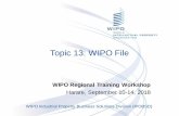 Topic 13: WIPO File · Payment Gateway Server I N T R A N E T Database Proxy Office staff process request and record actions Operating with an External 1 Payment Gateway 2a 2c 2b