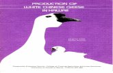 Production of White Chinese Geese in Hawaii...Ernest Ross* A flock of White Chinese geese was established at Kalou Pond at the ... degrees, whereas the recommendation for hatching