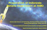 Preparation of Indonesia Banana Experiment at KIBO · Ripening, IAA, wounding, Flower senescence, water stress, flooding Induced by: Ripening, O 2 . ... (Standard Operation Procedure)