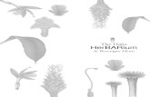 HerBARium - Chope · HerBARium . Title: PowerPoint Presentation Author: Firdaus Jaffar Created Date: 7/22/2017 12:55:35 PM