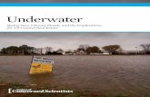 Underwater: Rising Seas, Chronic Floods, and the ... · of rising seas: schools, hospitals, churches, factories, homes, and businesses. Long before these properties and infrastruc-ture