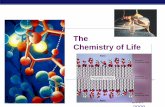 The Chemistry of Lifefa-stone.weebly.com/uploads/8/4/9/0/84909578/ch2chemistry.pdf · Chemistry of Life. Why are we studying chemistry? Chemistry is the foundation of Biology. The