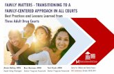 FAMILY MATTERS - TRANSITIONING TO A FAMILY-CENTERED ... 6... · FAMILY-CENTERED APPROACH IN ALL COURTS. Best Practices and Lessons Learned from . Three Adult Drug Courts. Center for