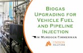 Biogas Upgrading for Vehicle Fuel and Pipeline Injection · Biogas Upgrading for Vehicle Fuel and Pipeline Injection Kim Murdock-Timmerman . Capture your biogas…. Downers Grove,