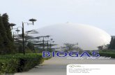 EBA - European Biogas Association Renewable Energy House ... · To date, biogas is the only technologi-cally fully established renewable energy source that is capable of producing
