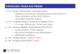 Introduction Script and Matlab - shiplab.hials.orgshiplab.hials.org/script/ppt/Intro Script and Matlab HG.pdf · – Getting to know Script Language and the MATLAB GUI – Using variables,