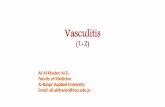 Vasculitis · 1-Drug hypersensitivity vasculitis …penicillin for example: acts as a hapten (= “does’nt induce immune response alone but it binds to a self normal “carrier”