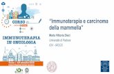 Immunoterapia e carcinoma della mammellaPooled individual patient data analysis of tumor infiltrating lymphocytes (TILs) in primary triple negative breast cancer (TNBC) treated with