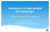 Advances in Image-guided Brachytherapy · Standard treatment for Cervix Cancer • Standard treatment for gynecological disease, especially cervix cancer • Put an applicator into