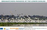 BIRDWATCHERS PARADISE AT THE LOWER DANUBE · No doubt that the best season for birdwatching in Bulgaria is spring. The classic period is May – June. This is the time when species