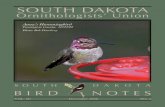 SOUTH DAKOTA Vol. 60/BN_2008_60_4_D… · South Dakota BirD NoteS, the official publication of the South Dakota Ornitholo- gists’ Union, is sent to all members whose dues are paid