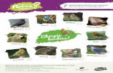 Spotted these birds in your garden? Use this sheet to ... · Birds love nuts and seeds, so try putting some out to tempt them to visit! Spotted these birds in your garden? Use this