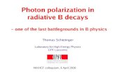 Photon polarization in radiative B decays · Gambino & Misiak, NPB 611 (2001) 338 Buras, Czarnecki, Misiak, Urban, NPB 631 (2002) 219 We need more observables to uncover new physics!