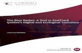 The Blue Basket: A Tool to FastTrack Quebec’s Digital and ... · Ph.D. and the T.M. Brown Award for the best thesis in economics. When he returned to Quebec, he began an academic