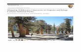 National Park Service€¦ · wilderness inside Sequoia and Kings Canyon National Parks (SEKI). A set of indicators and measures was identified by SEKI staff to capture the impacts