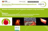 Emission abatement using integrated catalysts in log wood ...task32.ieabioenergy.com/wp-content/uploads/2017/03/09-Ingo-Hart… · Emission reduction by catalysis 10 Possible emission