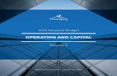 OPERATING AND CAPITAL - Winnipeg · Volume 2 Adopted by Council – March 20, 2019 2019 Adopted Budget OPERATING AND CAPITAL:,11,3(* 0$1,72%$ &$1$'$