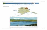 Arctic National Wildlife Refuge - FOSS...The Arctic National Wildlife Refuge in the northeast corner of Alaska is one of the most pristine, undisturbed places on Earth. It covers 7,700,000