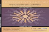 10. Cooperatives and social enterprises: comparative and ... · 77 10. Cooperatives and social enterprises: comparative and legal proﬁ le Antonio Fici 1. Introduction. What is the