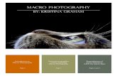 Macro photography - Grahaآ  Macro photography is an extreme close up photography. This type of photography