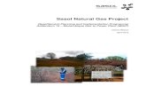 Sasol Natural Gas Project - Globeleq · Volume 1 Resettlement Planning and Implementation Programme. Volume 2 Land Settlement Plan – Graves and Replacement Housing. Volume 3 Land