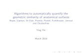 Algorithms to automatically quantify the geometric ...€¦ · Outline Background Motivation General Idea Mathematical background New distances Conformal Wasserstein distances (cW)