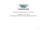 2013 Employee Survey Report on the Analysis of Survey ... Survey Analآ  Analysis of Survey Responses