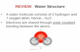 REVIEW: Water Structure - Sammons Scisammonssci.weebly.com/uploads/3/7/7/0/37708101/4_water_propert… · REVIEW: Water Structure • A water molecule consists of 2 hydrogen and 1