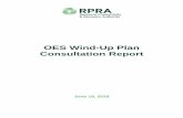OES Wind-Up Plan Consultation Report · Page 4 of 46 Accessible and cost effective: Consider a variety of tools and methods to gather feedback that promote efficient and cost-effective