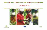 COLEACP-PIP-EDES STDF 11.10.12.pptx [Read-Only] · 2019-12-17 · Ensuring Sustainability Creating available, affordable and quality local services ... • Specialist knowledge and