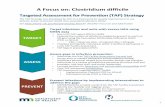 A Focus on: Clostridium difficile · A Focus on: Clostridium difficile Targeted Assessment for Prevention (TAP) Strategy ... Prevent infections by implementing interventions to address