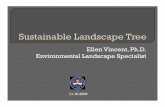 Ellen Vincent, Ph.D. Environmental Landscape Specialistmedia.clemson.edu/public/cafls/sustainable_landscape_tree.pdf · Apply vegetative mulch • Out to the dripline of mature trees
