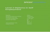 Level 2 Diploma in Self Employment - SFEDI Awardssfediawards.co.uk/media/Level-2-Diploma-in-Self... · 2019-03-04 · Level 2 Diploma in Self Employment Regulator Ofqual Qualification