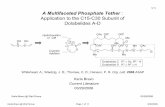 A Multifaceted Phosphate Tether Application to the C15-C30 ...ccc.chem.pitt.edu/wipf/Current Literature/Karla_1.pdf · 5/11 Karla Bravo @ Wipf Group Page 5 of 11 3/30/2008 - Bicyclic