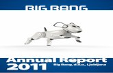 Annual Report 2011 - Big Bangmedia.bigbang.si/slovenija/letna_porocila/bigbang... · management of Big Bang. Exceptional success of the trademark BEKO Thanks to Big Bang, Beko’s